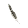 dd2-griffin-pinion-3