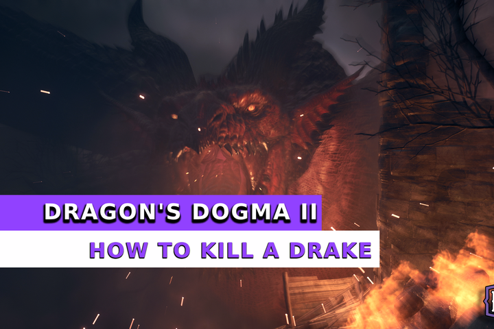 dd2 how to kill a drake