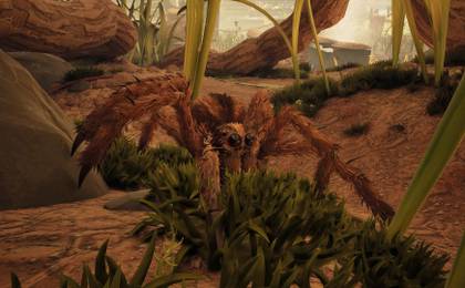 Grounded 2 Wolf Spider Grass Patrol