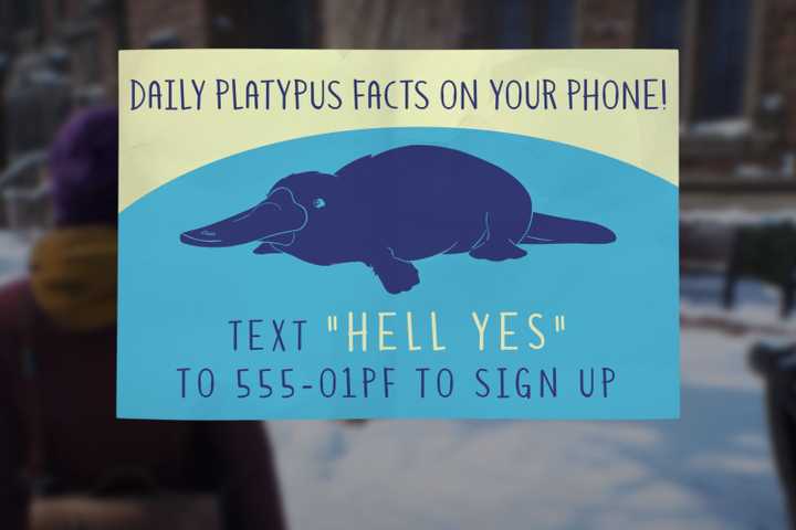 How to read all Platypus Facts in Life is Strange Double Exposure