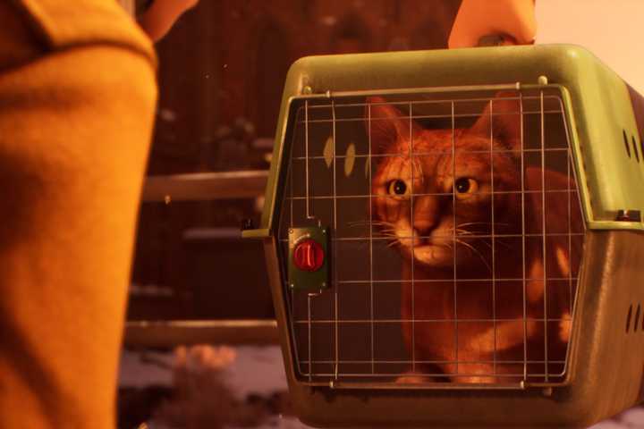 How to Return the Cat to its owner in Life is Strange Double Exposure