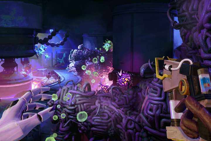 Gun and fungus in room