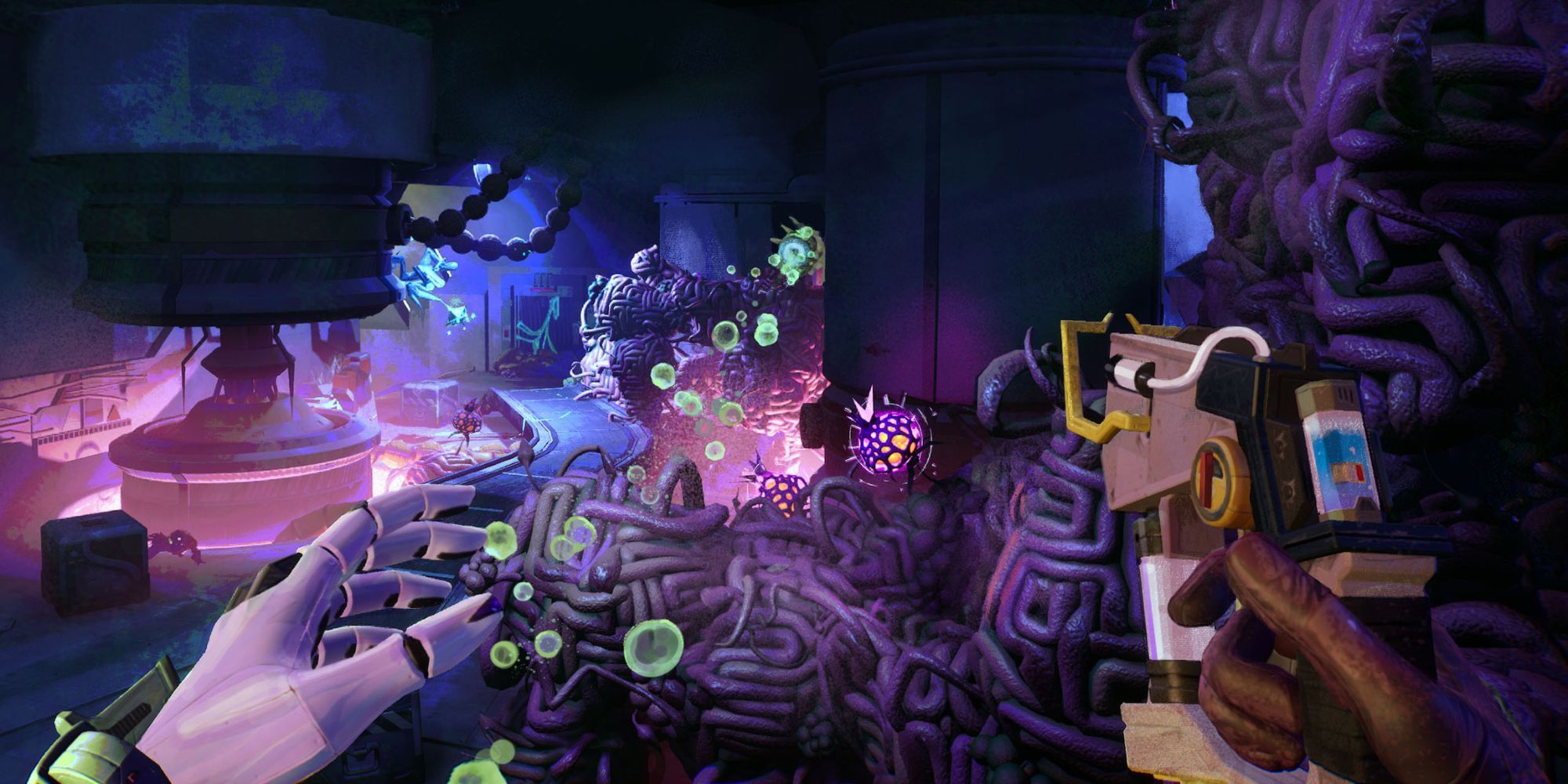 Gun and fungus in room
