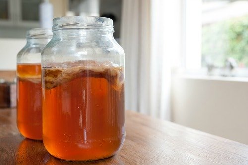 kombucha detox tea to lose weight kombucha detox tea to lose weight
