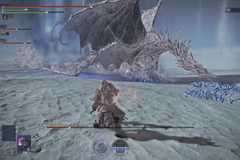 NightreignEverDarkCaligo-HG