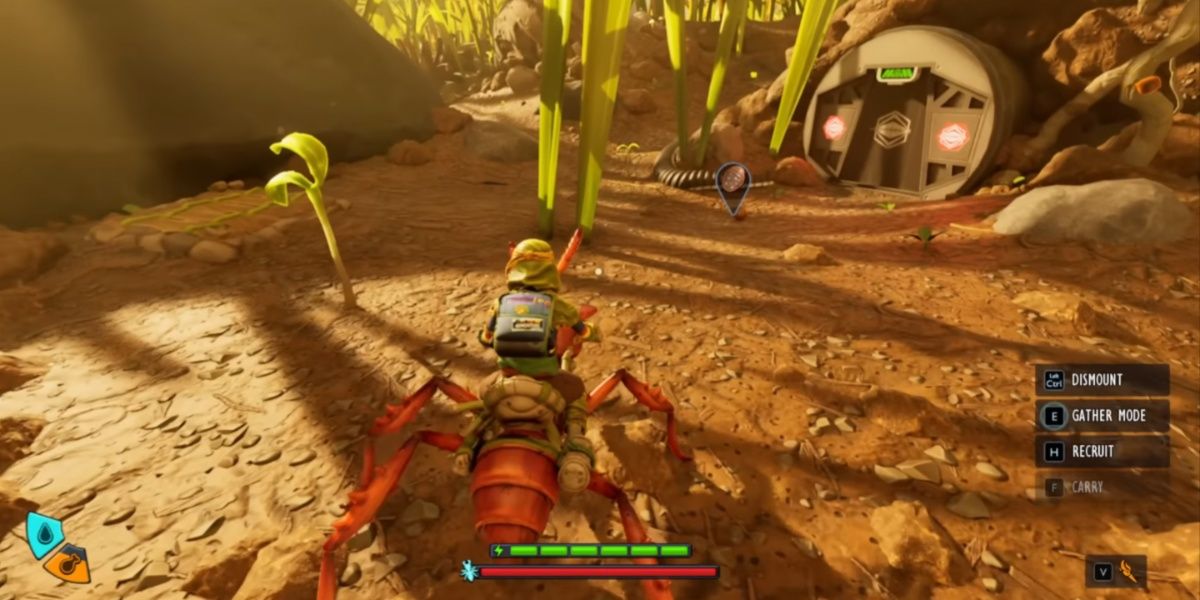 RED SOLDIER ANT IN GROUNDED 2