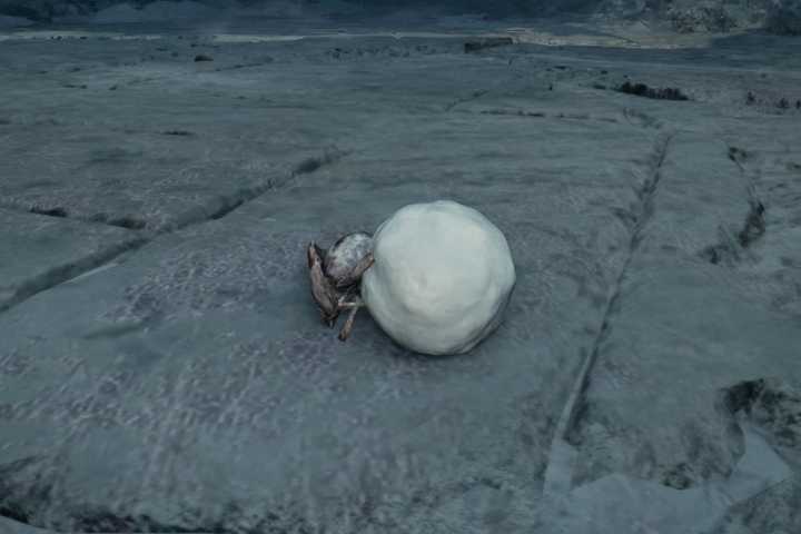 Rime Beetle in Monster Hunter Wilds
