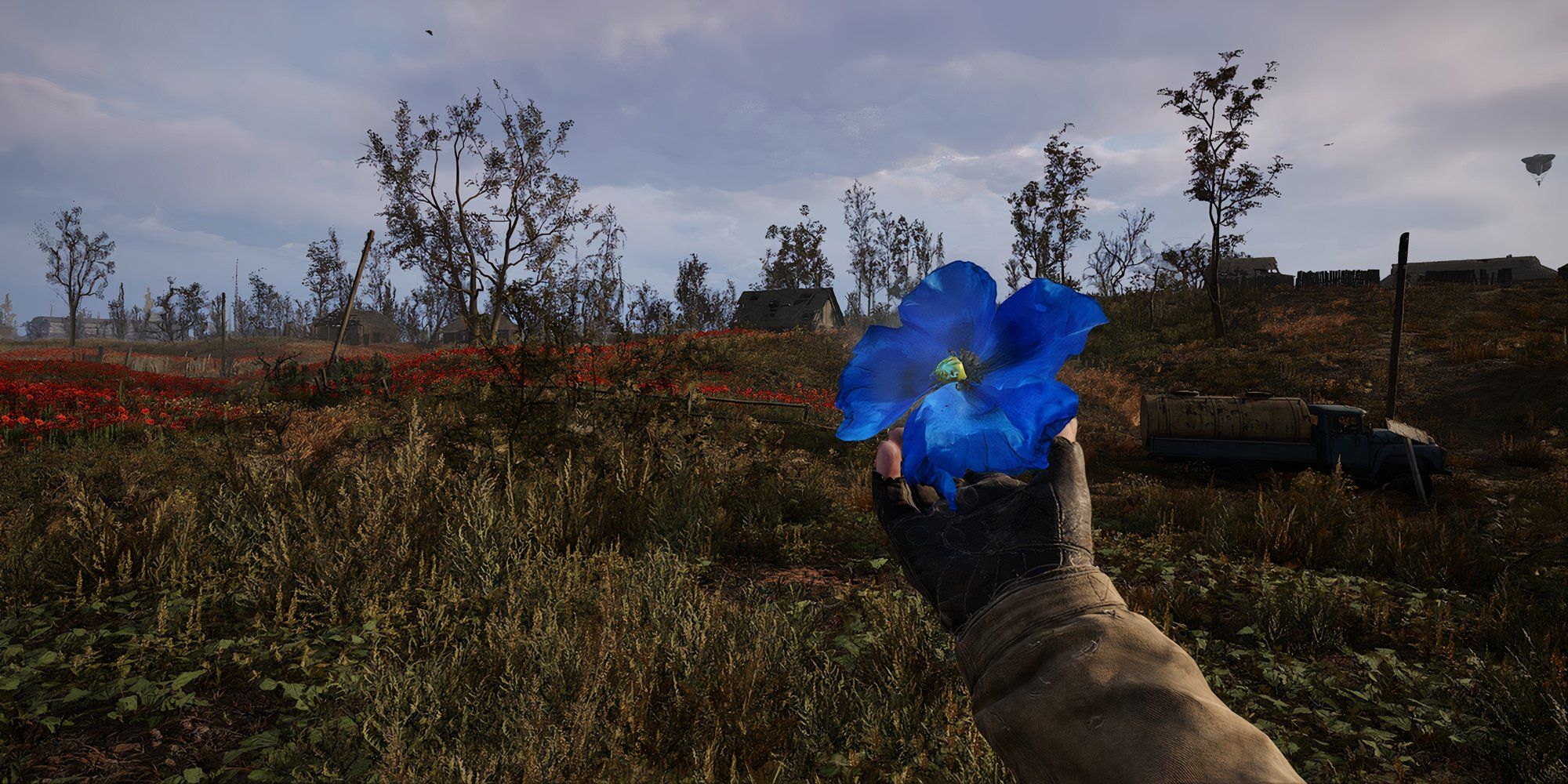 stalker-2-how-to-get-the-weird-flower