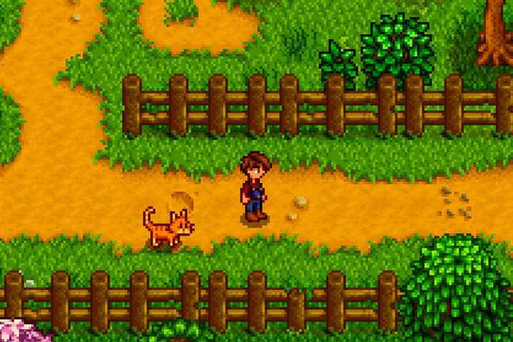 stardew valley pets