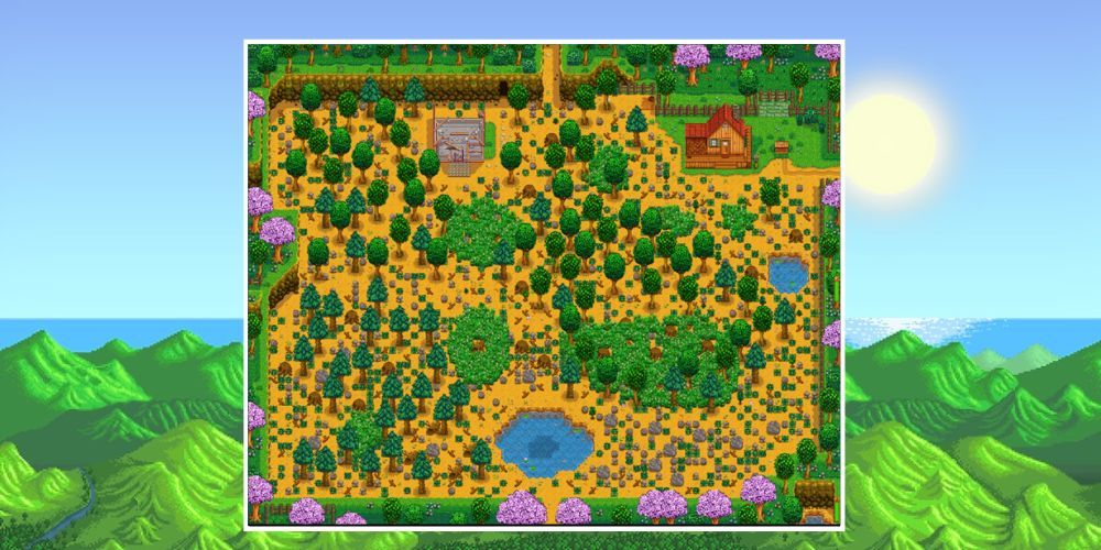 Standard Farm In Stardew Valley