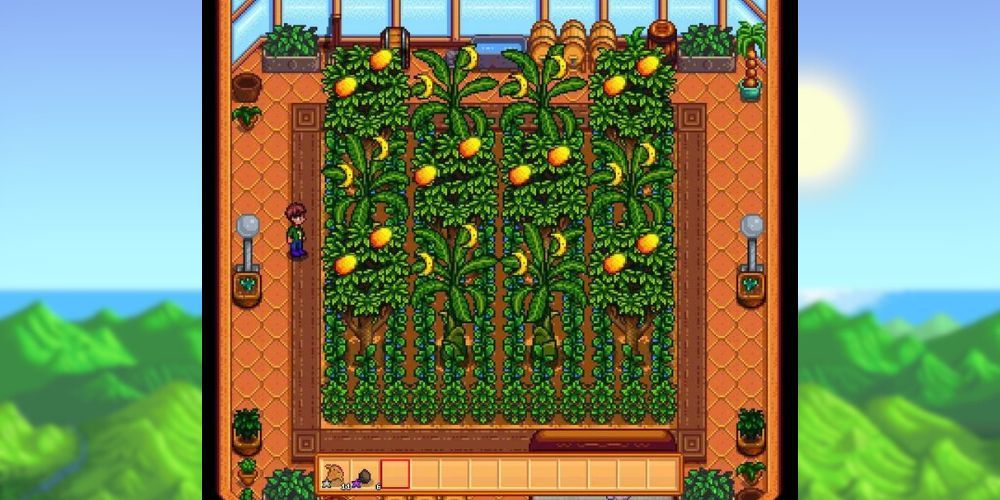 Canopy Greenhouse Idea Stardew Valley