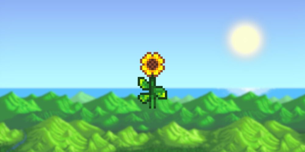 Sunflower Stardew