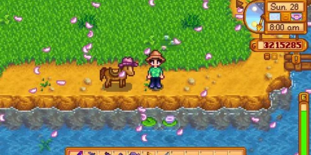 Straw Hat Stardew Valley