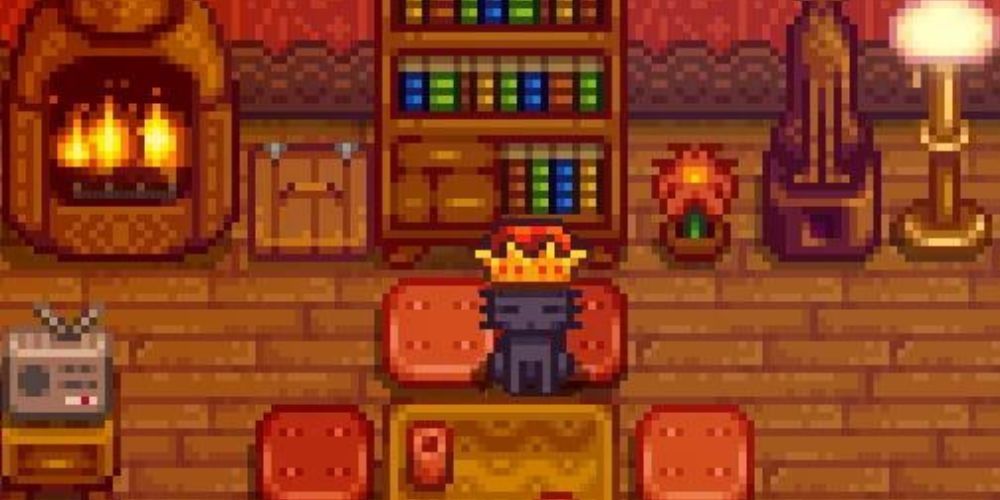 Cat With Infinity Crown