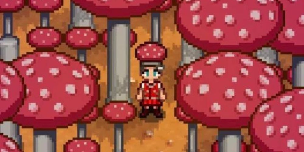 Mushroom Cap Stardew Valley