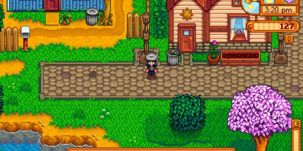 Garbage Hat Stardew