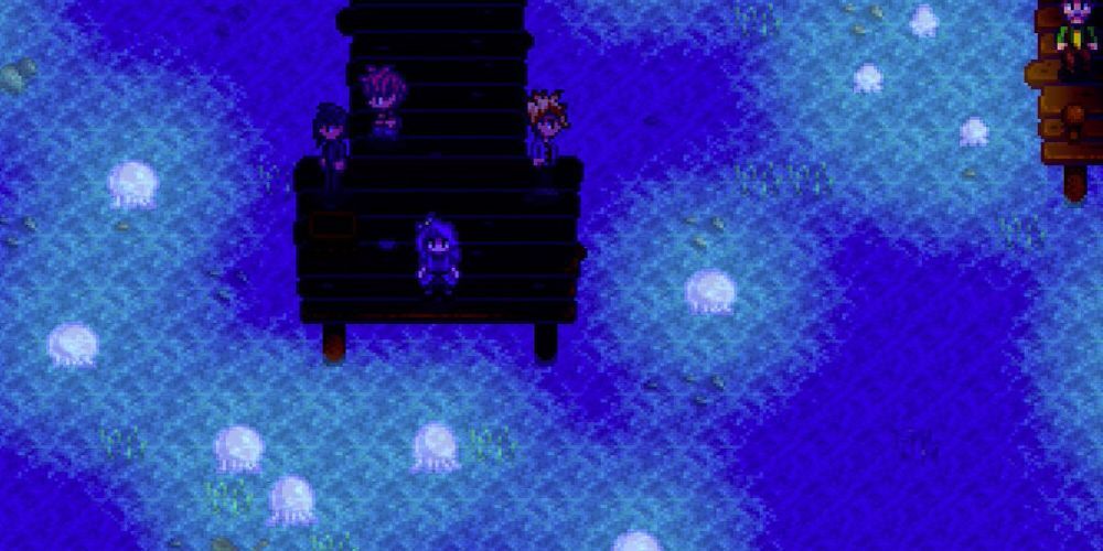 Dance of the Moonlight Jellies Event in Stardew Valley