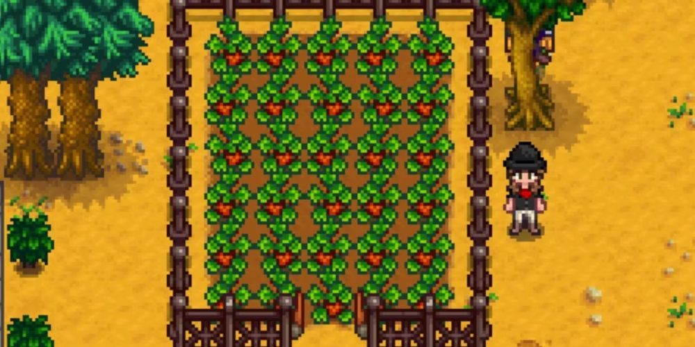 Field of Strawberries In Stardew Valley