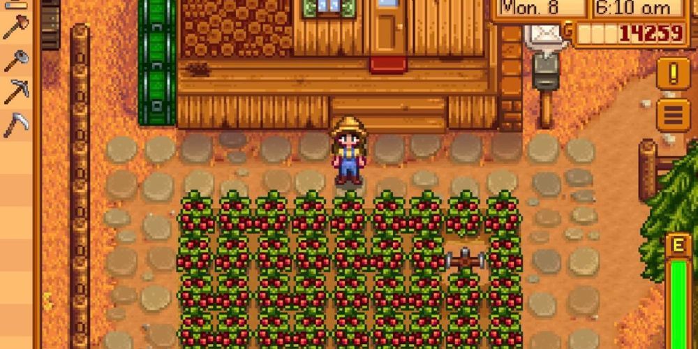Field of Cranberries in Stardew Valley