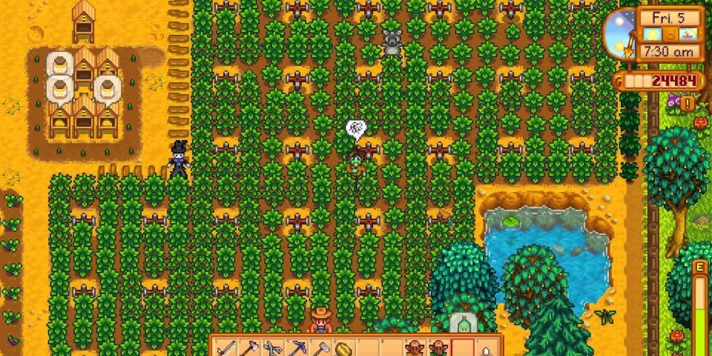 Field of Coffee Beans In Stardew Valley