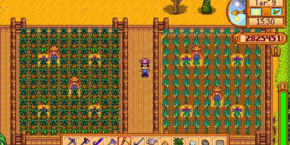 Pineapple and Starfruit Farm In Stardew Valley