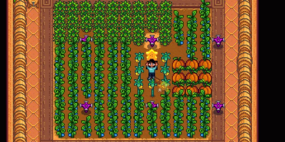 Harvesting Starfruit in Stardew Valley