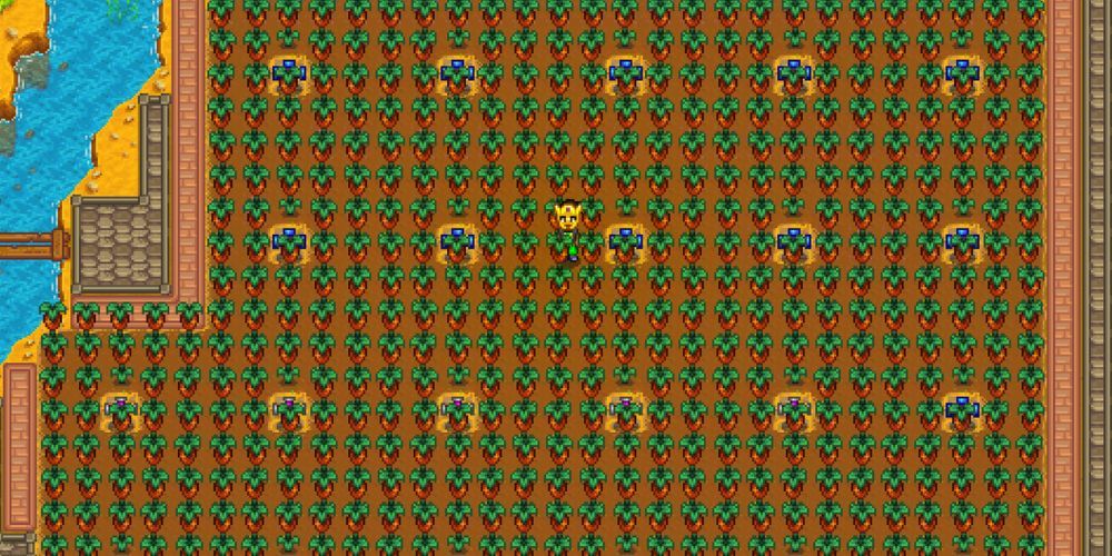 Sweet Gem Berry Farm Stardew Valley