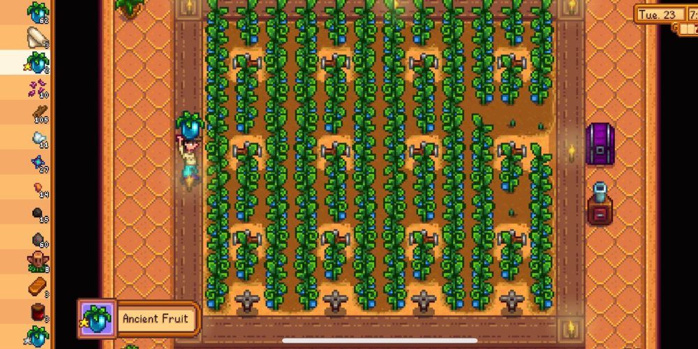 Ancient Fruit Farm In Stardew Valley