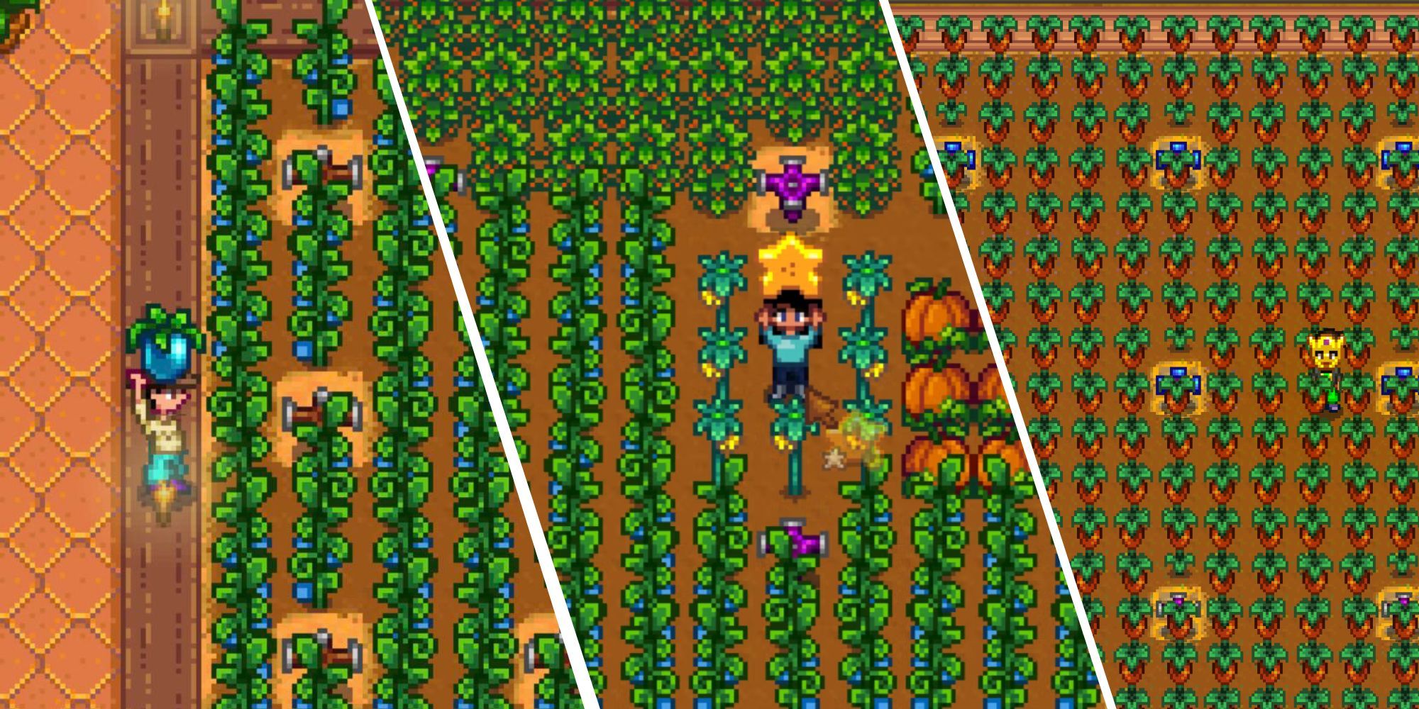 Stardew Best Crops Feature
