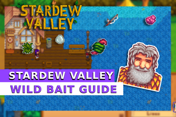 wild_bait_featured_image